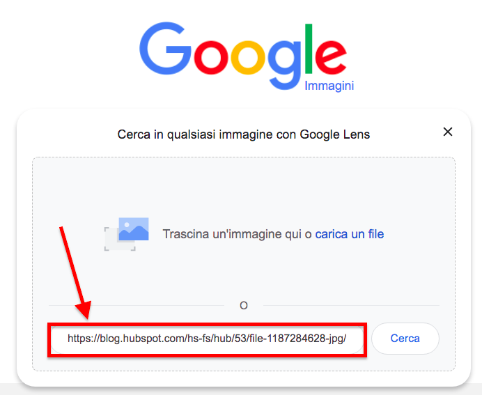 Google Immagini ricerca inversa con campo URL evidenziato in rosso