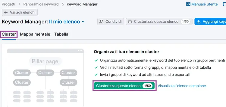 Keyword Manager: opzioni organizzazione cluster automatica