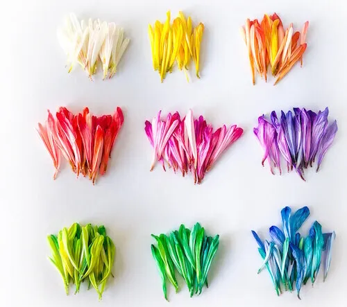 Colori per il web: scelte di web design