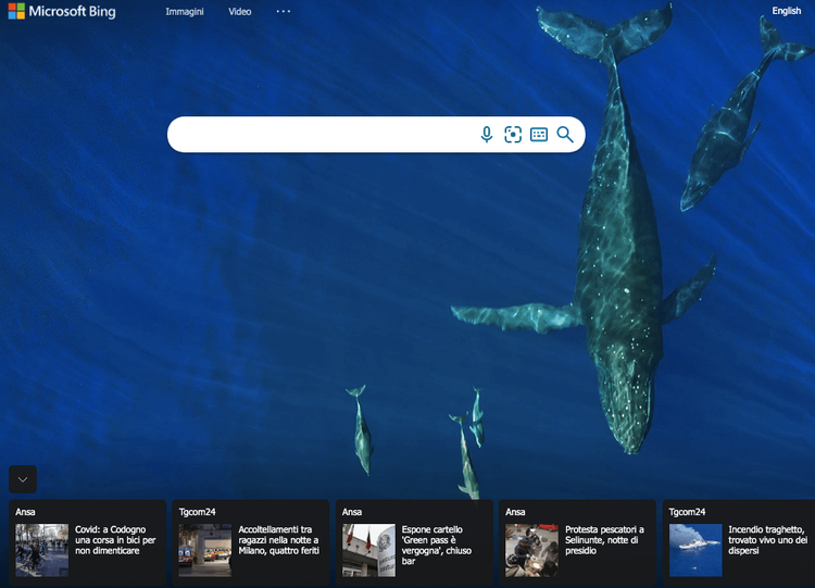 Bing: homepage con barra di ricerca e sfondo immagini marine
