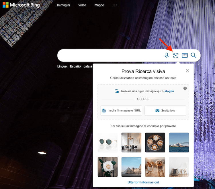 Bing Visual Search con dialog di caricamento immagini o screenshot