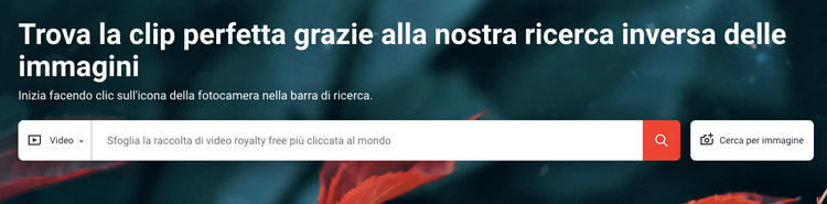 Testo Shutterstock ricerca inversa video upload o foto