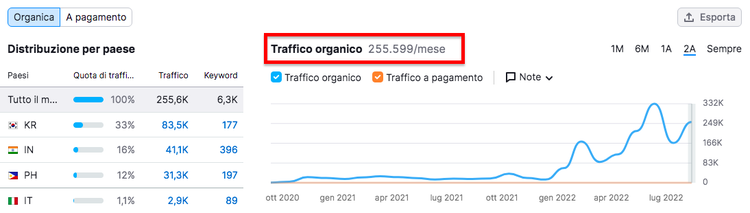 Grafico traffico organico 255.6K mensile per paesi