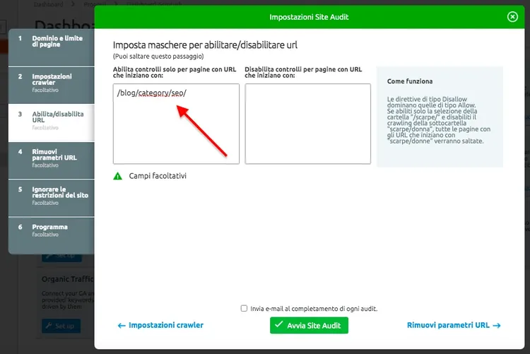Site Audit URL configuration showing include and exclude pattern fields