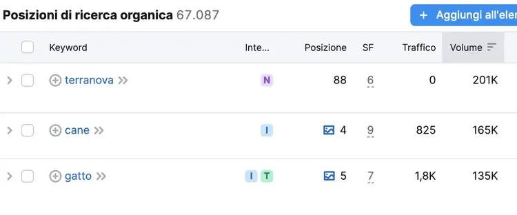 Esempio ricerca keyword con Ricerca organica