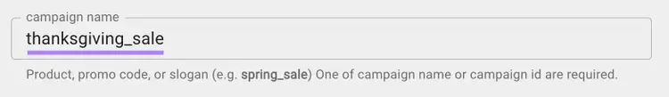 "thanksgiving_sale" inserito nel campo "nome della campagna".