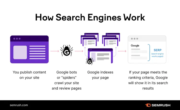 Tu pubblichi i contenuti, i bot effettuano il crawling del tuo sito, Google indicizza le pagine e se la tua pagina soddisfa i criteri di ranking, Google la mostra nei risultati di ricerca.