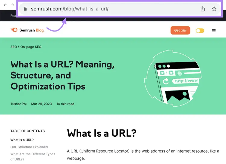 L'URL di un post del blog è "semrush.com/blog/what-is-a-url/".