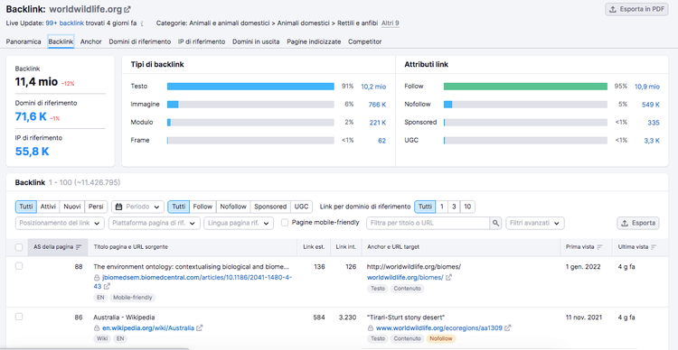 Backlink Analysis: distribuzione tipo 91% testo, 6% immagini