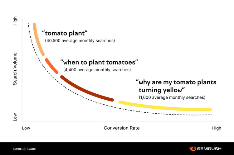 Grafico long tail keyword