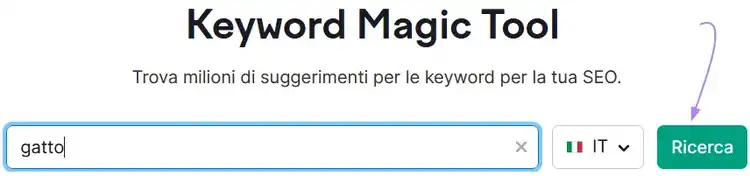 Keyword Magic Tool con gatto nel campo ricerca e pulsante Ricerca verde