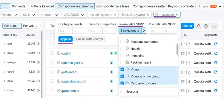 Keyword Magic Tool risultati gatto con filtri SERP per video e carousel