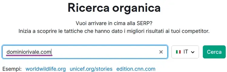 Ricerca organica: interfaccia ricerca dominio concorrente