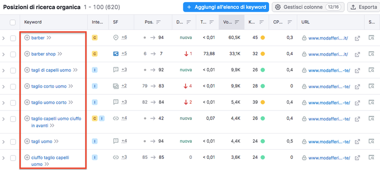 Tabella posizioni ricerca organica mostrando keyword e ranking