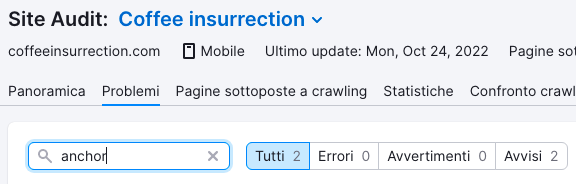 Ricerca anchor nel tab Problemi Site Audit con risultati filtrati