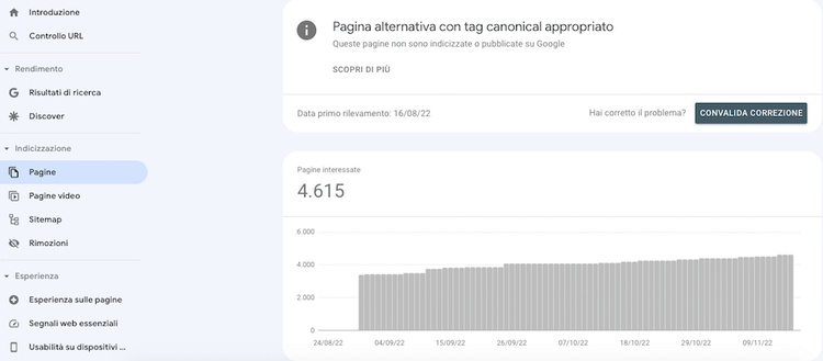 Report Coverage Google Search Console pagina tag canonical