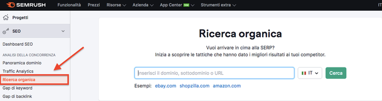 Semrush Ricerca organica tool barra ricerca dominio