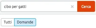 Tab Domande Keyword Magic Tool elenco domande keyword