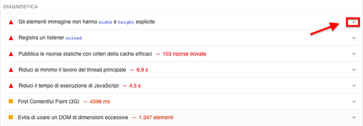 Sezione Diagnostica PageSpeed con elenco problemi tecnici riscontrati