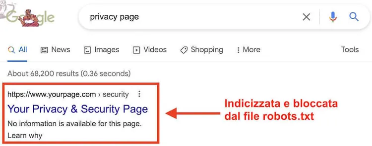 Risultato ricerca Google con messaggio blocco noindex in rosso