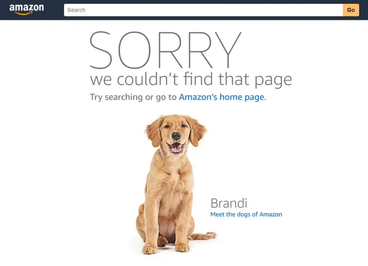 アマゾンの404商品ページエラー
