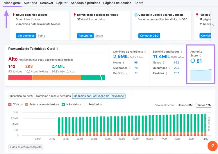 aba "visão geral" na ferramenta Backlink Audit