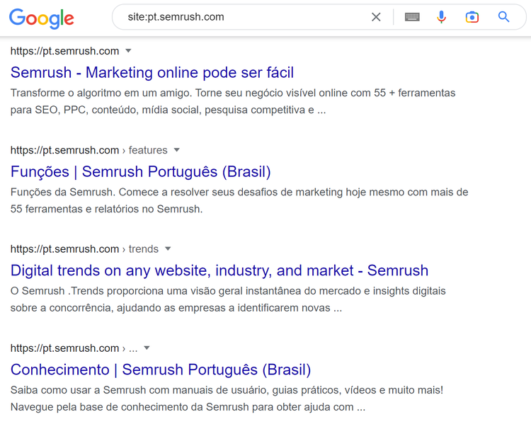 descobrindo de o site está indexado