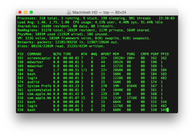 Excel Screaming Frog MySQL terminal habilidades SEO