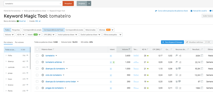 Keyword Magic Tool tomateiro cauda longa volume