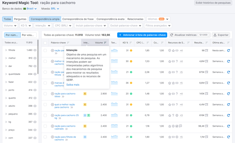 intenção d ebusca na ferramenta keyword magic tool