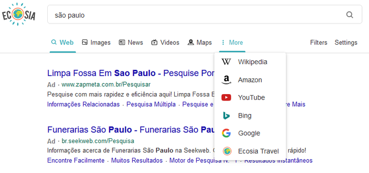 opções de busca no ecosia