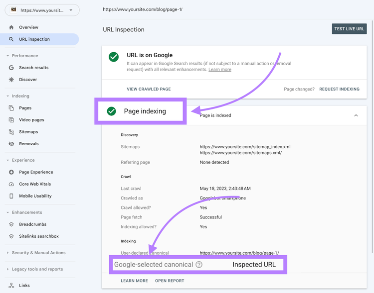 seção “Page indexing” no Google Search Console