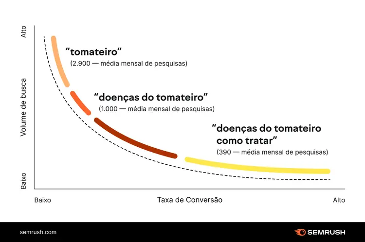 Keyword research visualization for tomato-related searches showing search difficulty