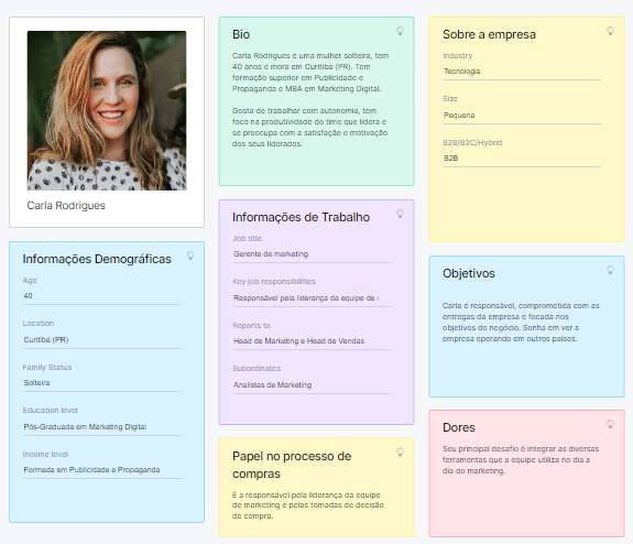 exemplo de buyer persona b2b