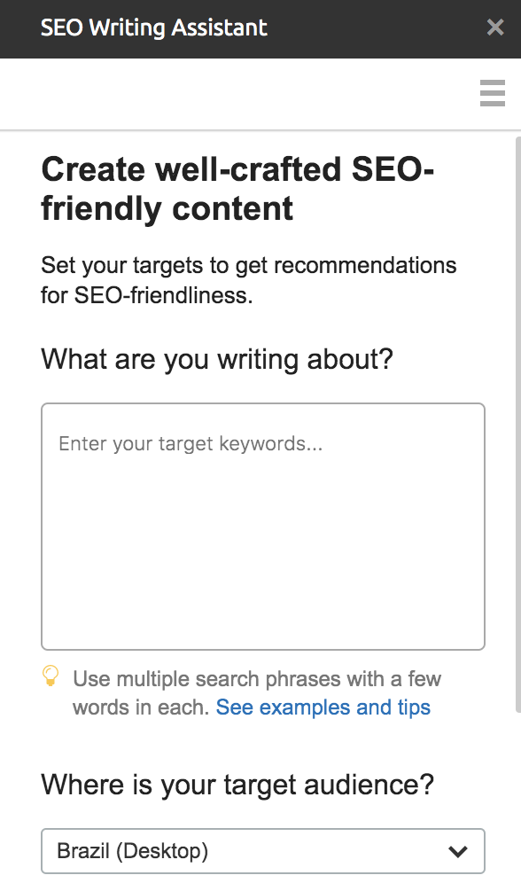 SEO Writing Assistant: entrada de palavras-chave e público