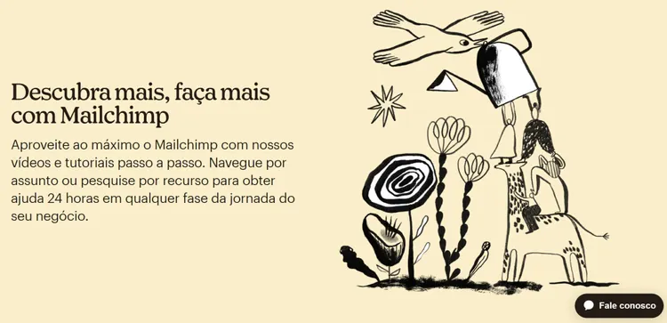 exemplo perguntas frequentes - mailchimp