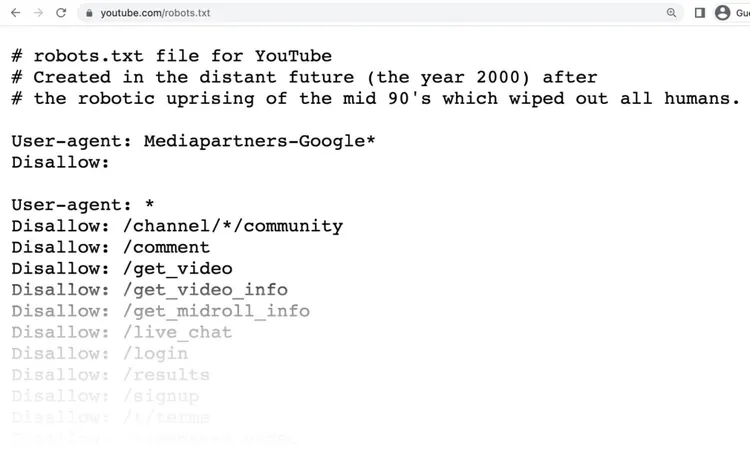 youtube robots.txt