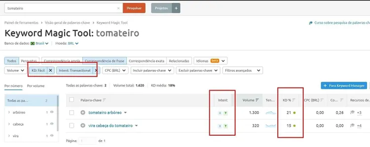Keyword Magic Tool with KD Fácil and transactional intent filters applied