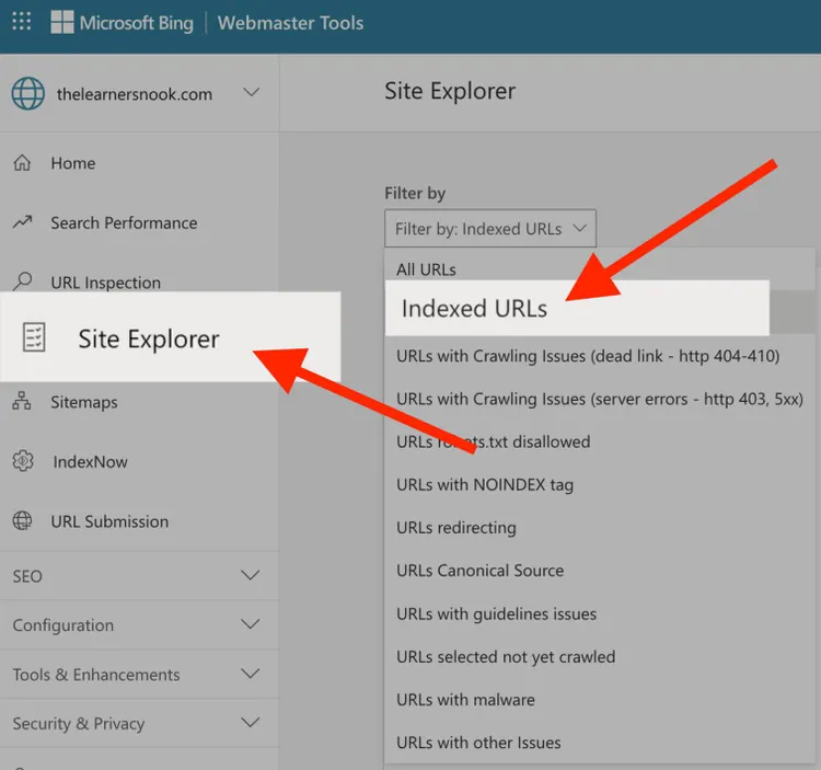 procurando uma página no bing webmasters tools