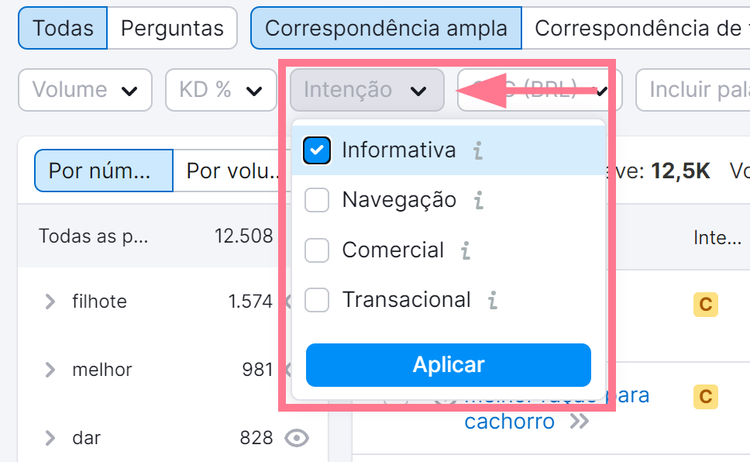 aplicando filtro de intenção de busca de palavra-chave