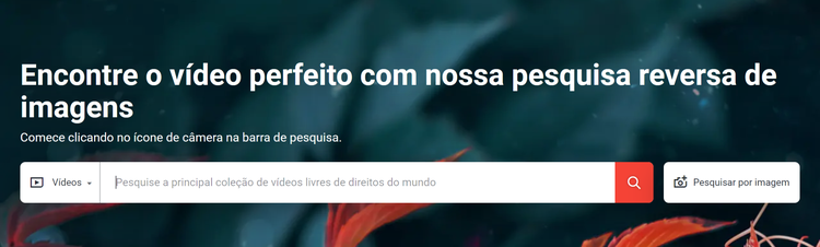 pesquisa reversa de vídeo - Shutterstock