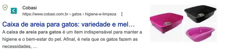 exemplo de resultados da busca orgânica