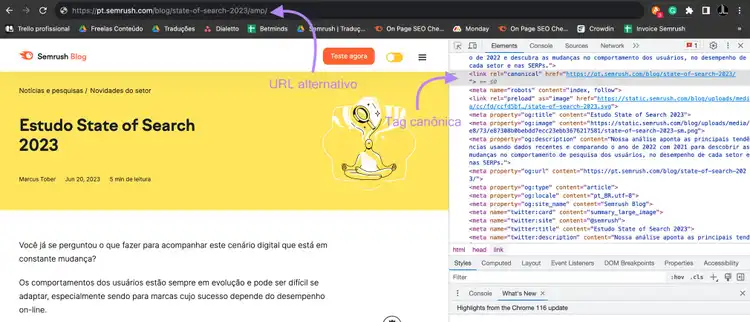 imagem mostrando "url alternativo" e "tag canônica"