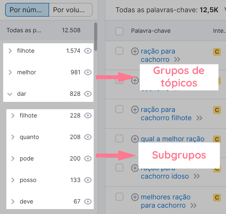 grupos e subggrupos de tópicos na ferramenta keyword magic tool