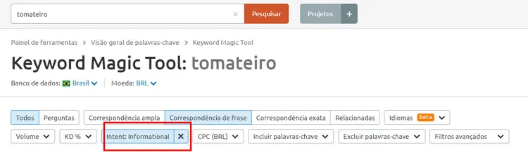 Keyword Magic Tool tabs for keywords, questions, phrase match, exact match, and terms