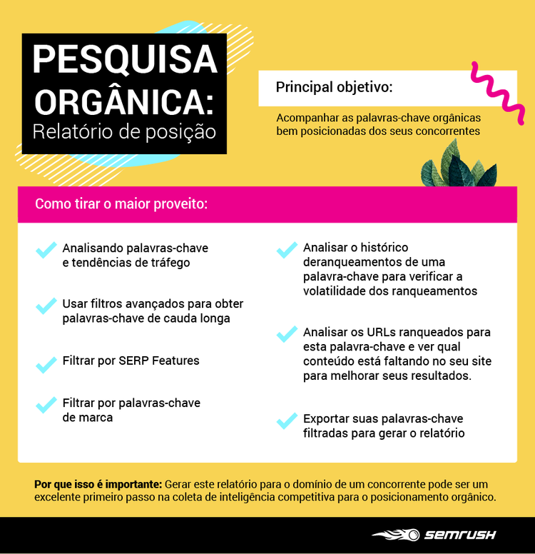 Semrush: infografia sobre relatório de posição com objetivos e dicas de análise