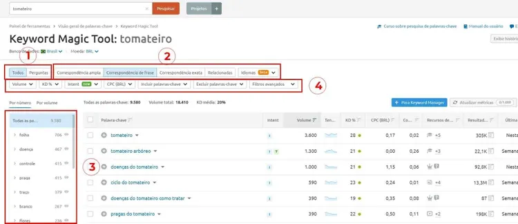 Keyword Magic Tool interface for tomateiro with numbered annotations highlighting features
